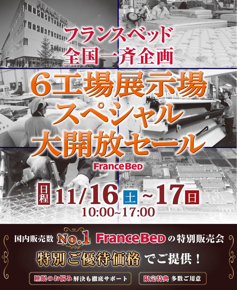 介護 短し マットレス付 最終値下げです。フランスベッド 