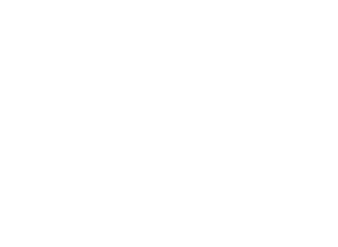 SHOWA NISHIKAWAロゴ