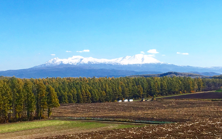 旭川の風景