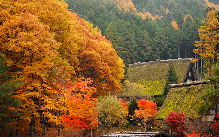 飛騨の風景