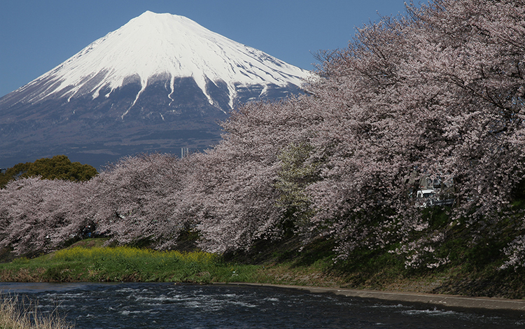 静岡の風景