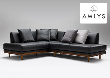 AMLYS